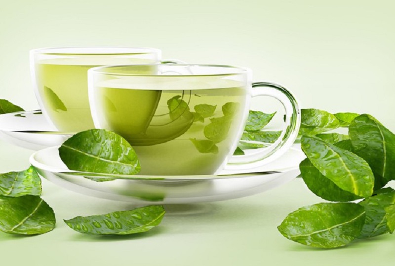 Lá trà xanh từ lâu đã được áp dụng để điều trị nhiều bệnh lý liên quan đến nhiễm trùng